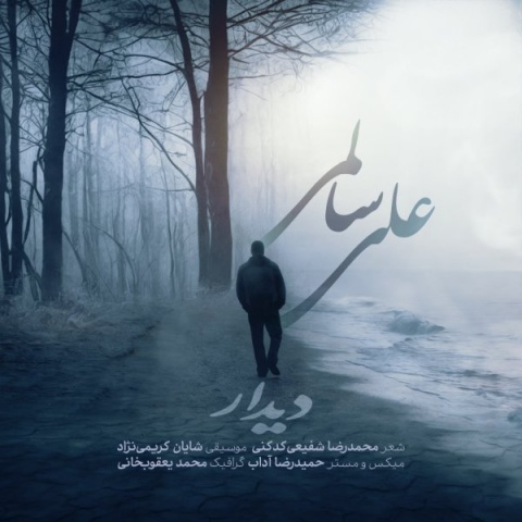 علی سالمی دیدار
