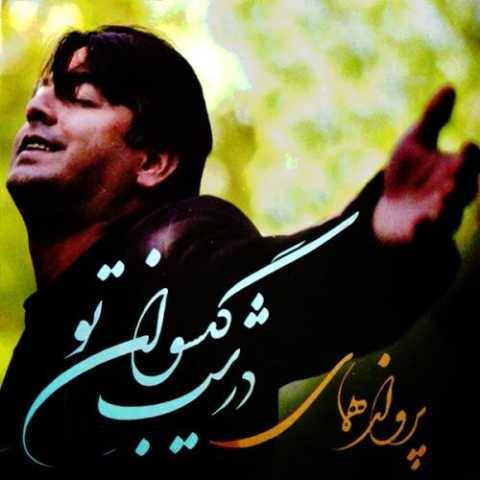 پرواز همای درشب کیسوان تو