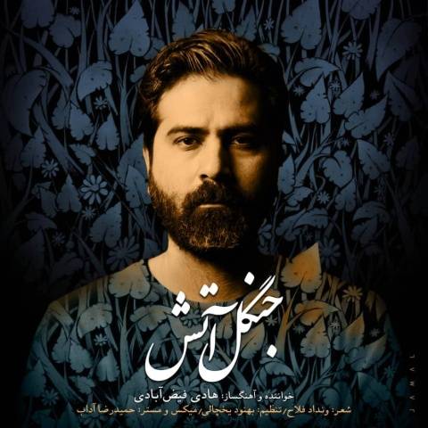 هادی فیض آبادی جنگل آتش