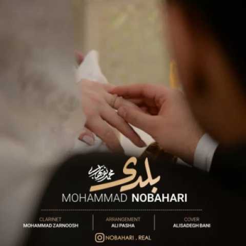 محمد نوبهاری بلدی